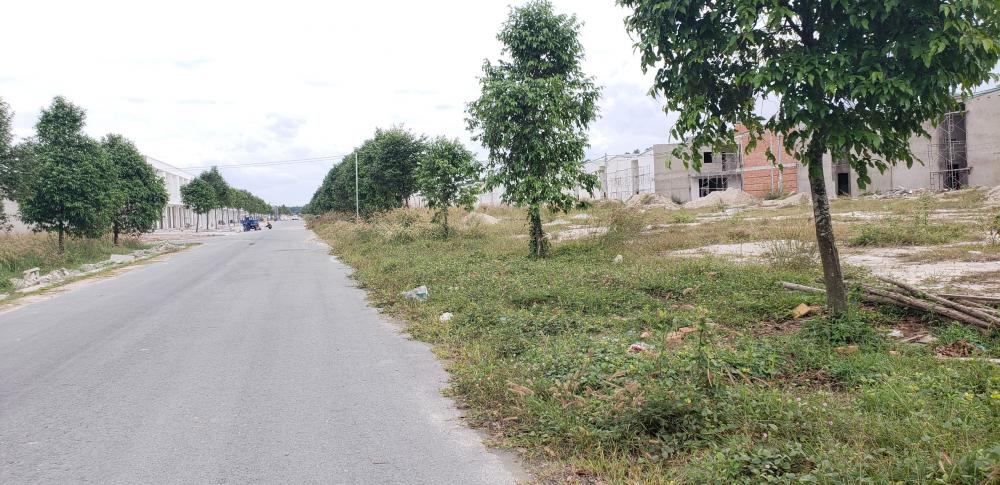 bat-dong-san-bau-bang-huong-loi-nhu-the-nao-tu-chinh-sach-phat-trien-huyen-moi-cua-tinh-binh-duong-3