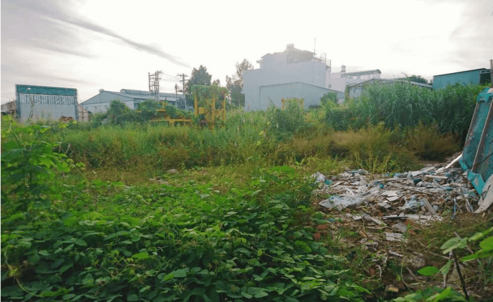 Trần Anh Group lừa đảo-1