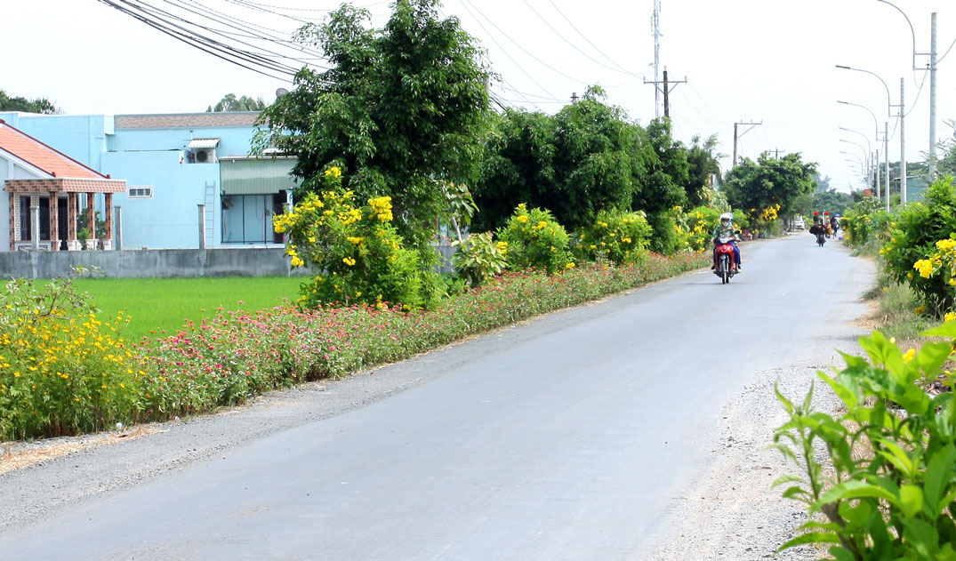 Đường giao thông nông thôn huyện Cần Đước
