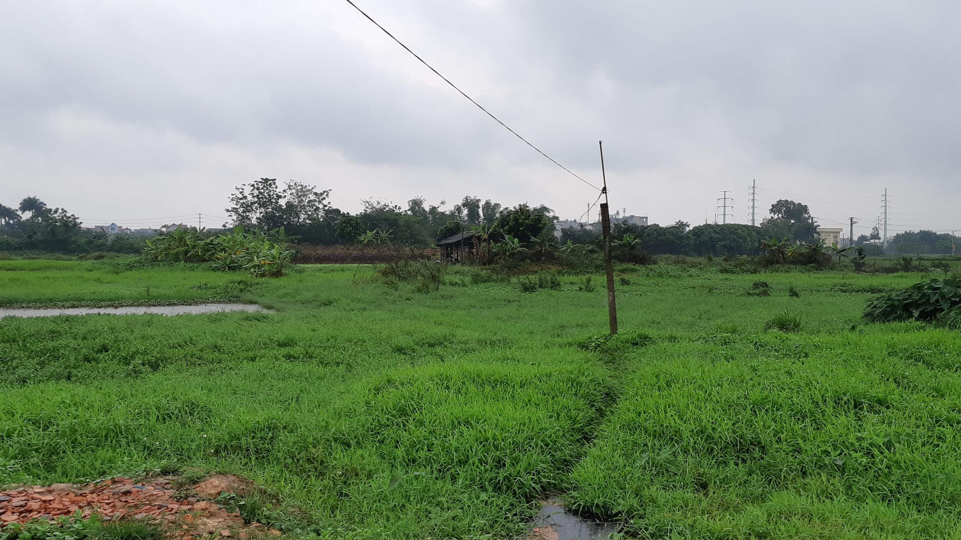 Đất Đức Hòa dưới 100 triệu - 2