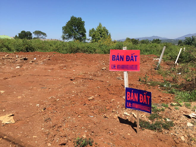 Đất Đức Hòa dưới 100 triệu - 3