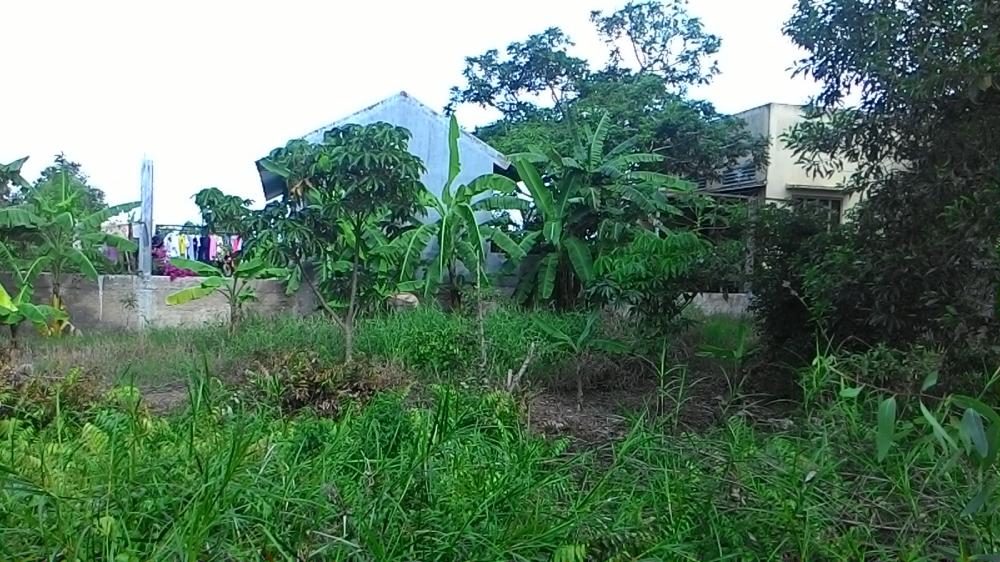 Dự đoán giá đất nông nghiệp huyện Bến Lức tăng trở lại - 2