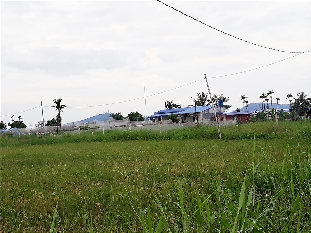 Dự đoán giá đất nông nghiệp huyện Bến Lức tăng trở lại - 3