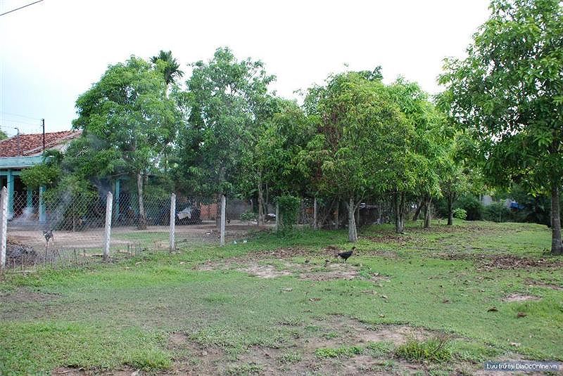 Đất Mỹ Lộc, Cần Giuộc giá rẻ - 3