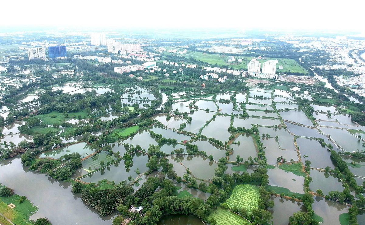 Đất ruộng giá rẻ Cần Giuộc - 1