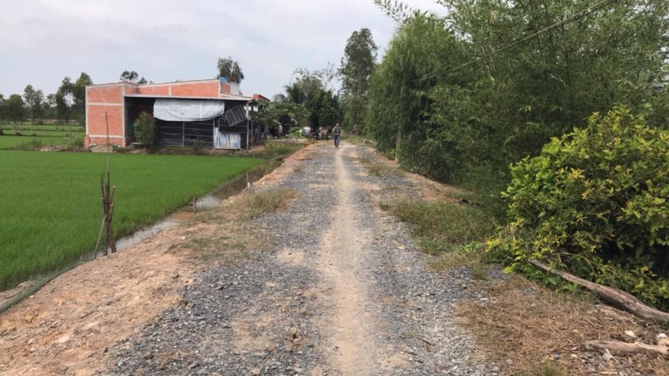 Đất ruộng giá rẻ Cần Giuộc - 2