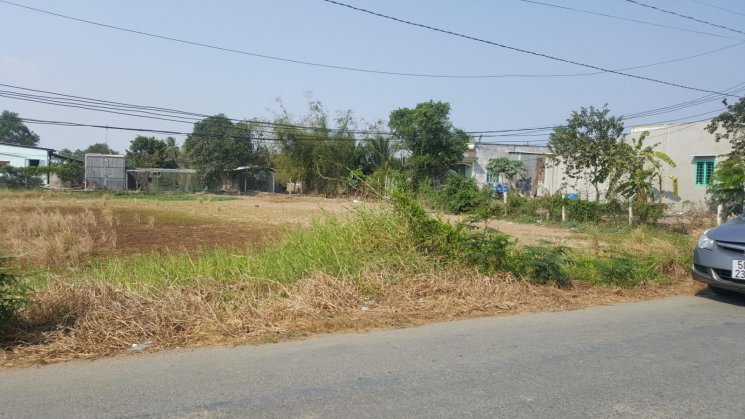 Bán đất Cần Giuộc - 4