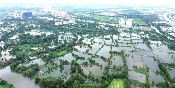 Đất ruộng giá rẻ Cần Giuộc sốt trở lại sau thời gian dài rớt giá