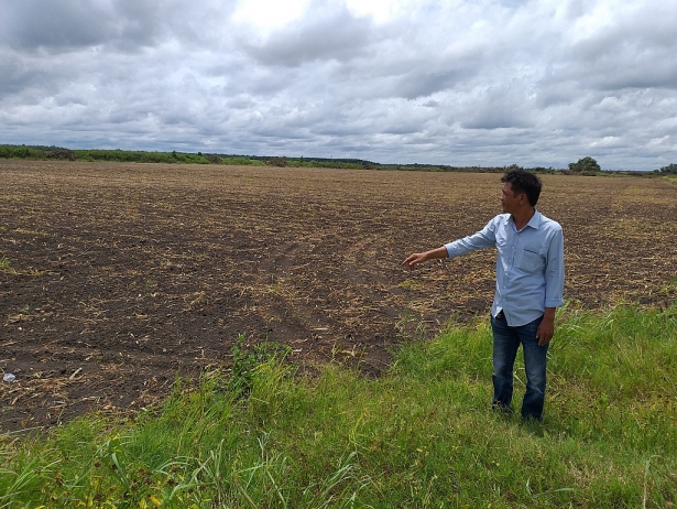 Bán đất ruộng Tây Ninh - 3