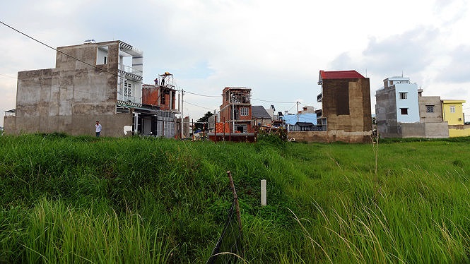 Bán đất ruộng Tây Ninh - 1