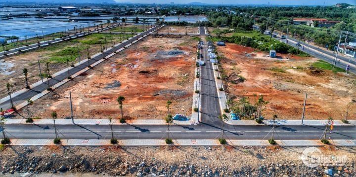 Thị trường đất nền Bà Rịa Vũng Tàu - 4