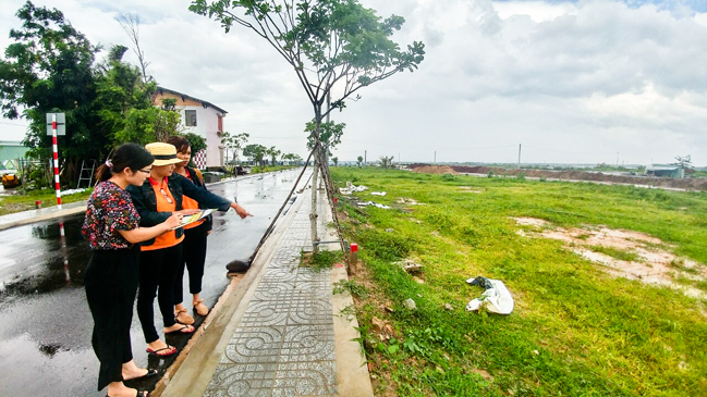 Thị trường đất nền Bà Rịa Vũng Tàu - 3