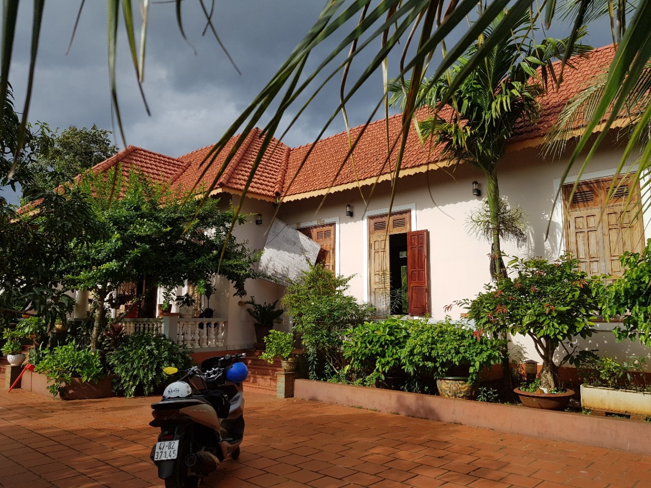 Nhà vườn Buôn Ma Thuột - 1