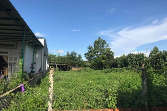 Nhà vườn Buôn Ma Thuột - 3