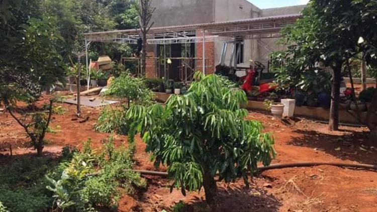 Nhà vườn Buôn Ma Thuột - 4