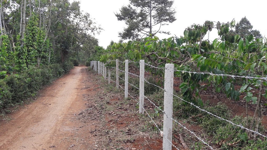 Bán đất rẫy Buôn Ma Thuột - 2