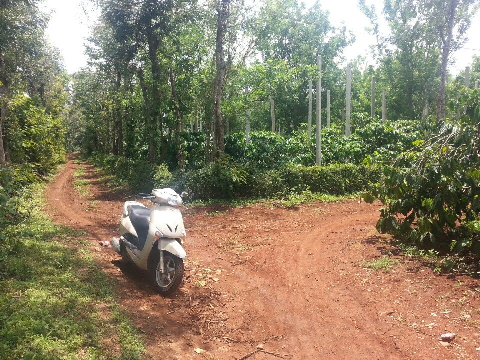 Bán đất rẫy Buôn Ma Thuột - 4