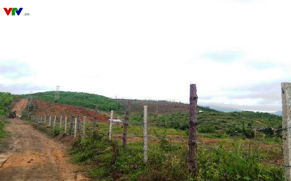 Đất giá rẻ Đắk Lắk - 4