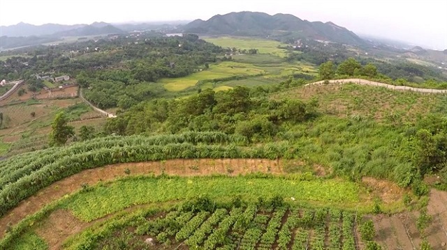 Bán trang trại Buôn Ma Thuột - 2