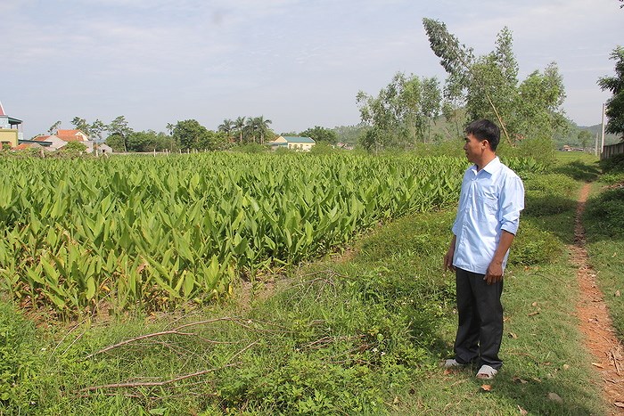 Bán đất sào thành phố Buôn Ma Thuột - 1