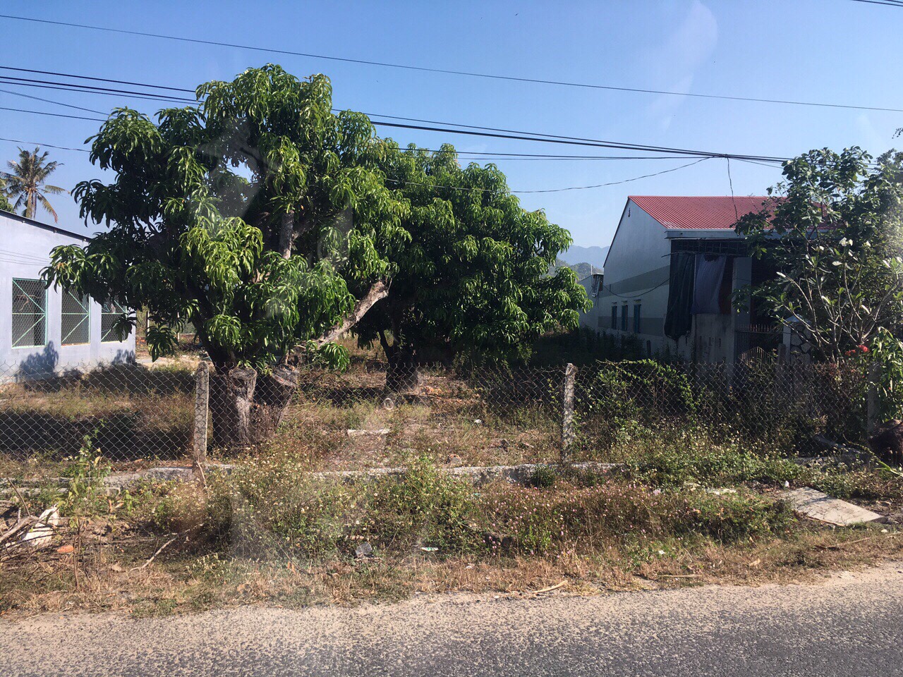 Đất vườn Gò Đen - 1