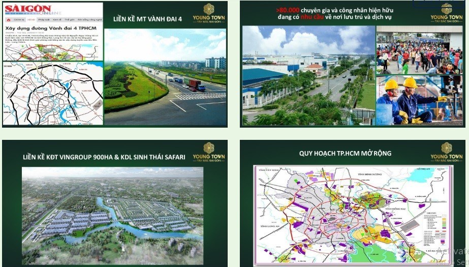 Dự án Young Town - 7