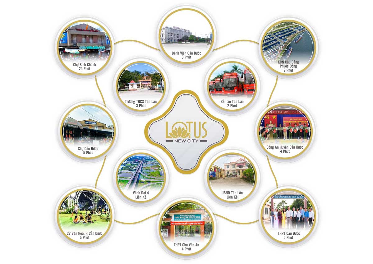 Lotus New City Cần Đước - 13