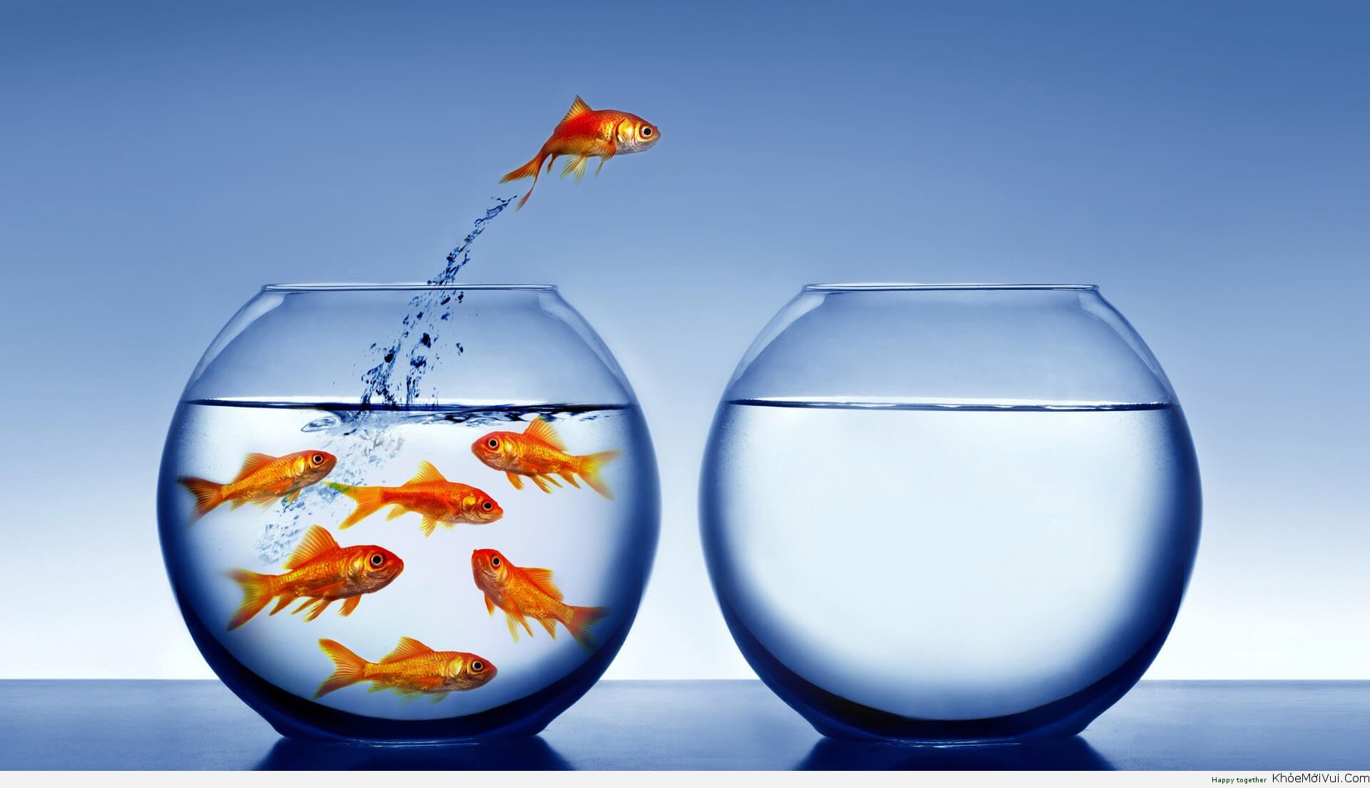 Staycation là gì 4