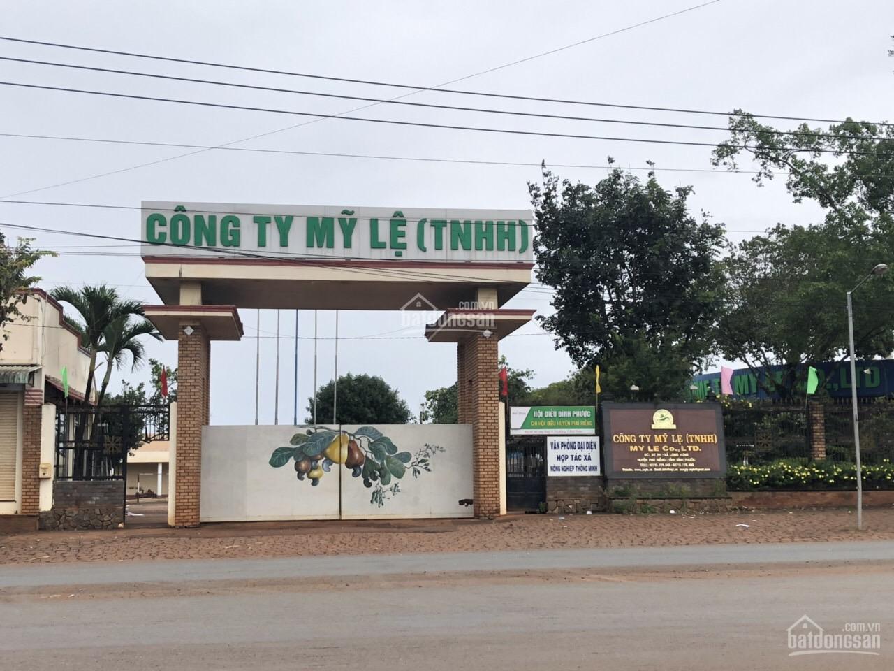 Công ty TNHH Mỹ Lệ - 2