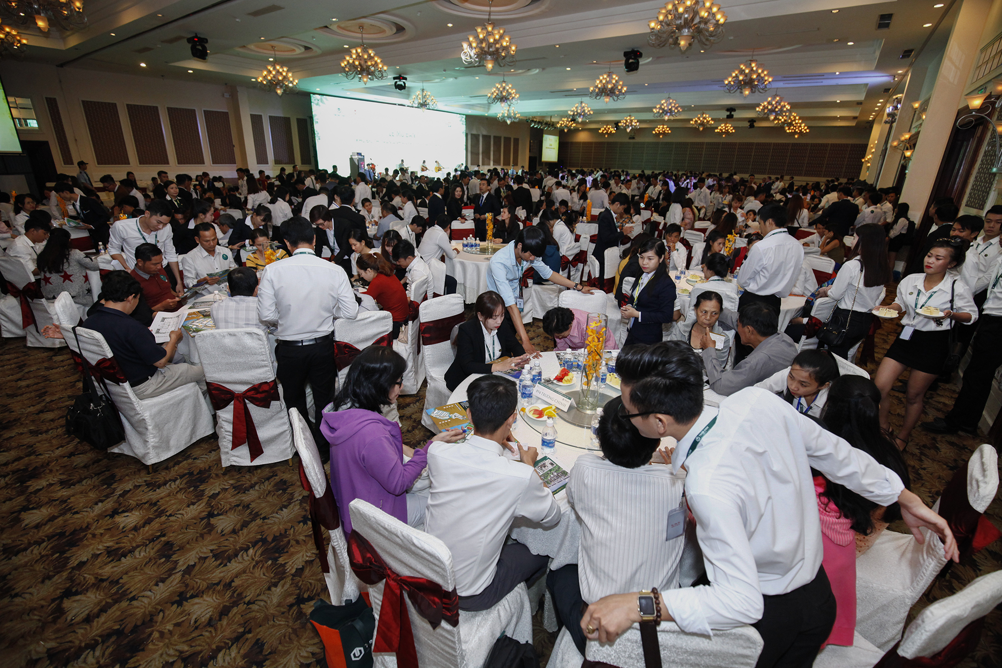 đầu tư chung cư ở giai đoạn mở bán đầu tiên