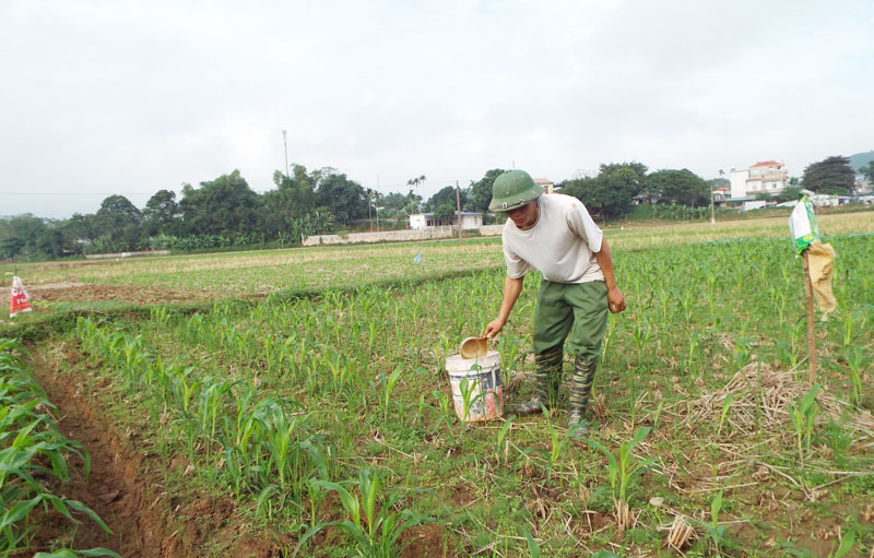 Đất nông nghiệp Gia Lai - 4