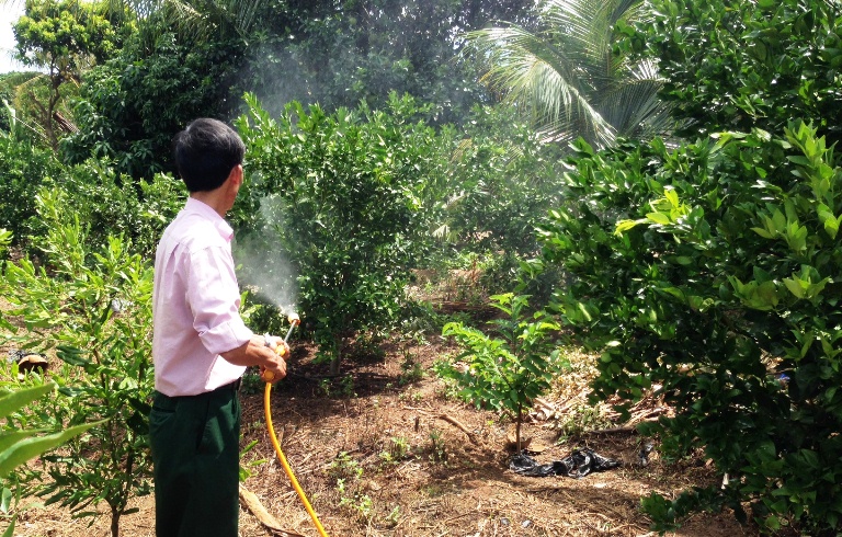 Đất nông nghiệp Gia Lai - 1