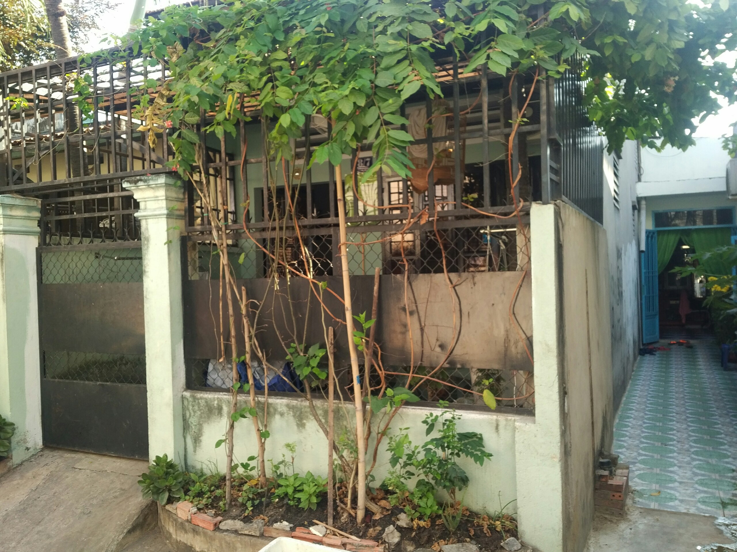 Bán nhà cấp 4 Gia Lai - 2