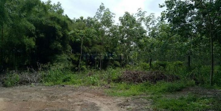 Danh sách bán đất cao su huyện Chơn Thành mới nhất