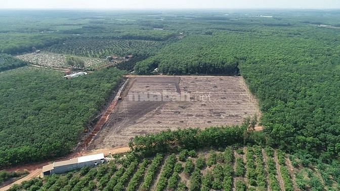 Đất nông nghiệp Chơn Thành - 3