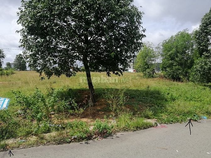 Đất nông nghiệp Chơn Thành - 4