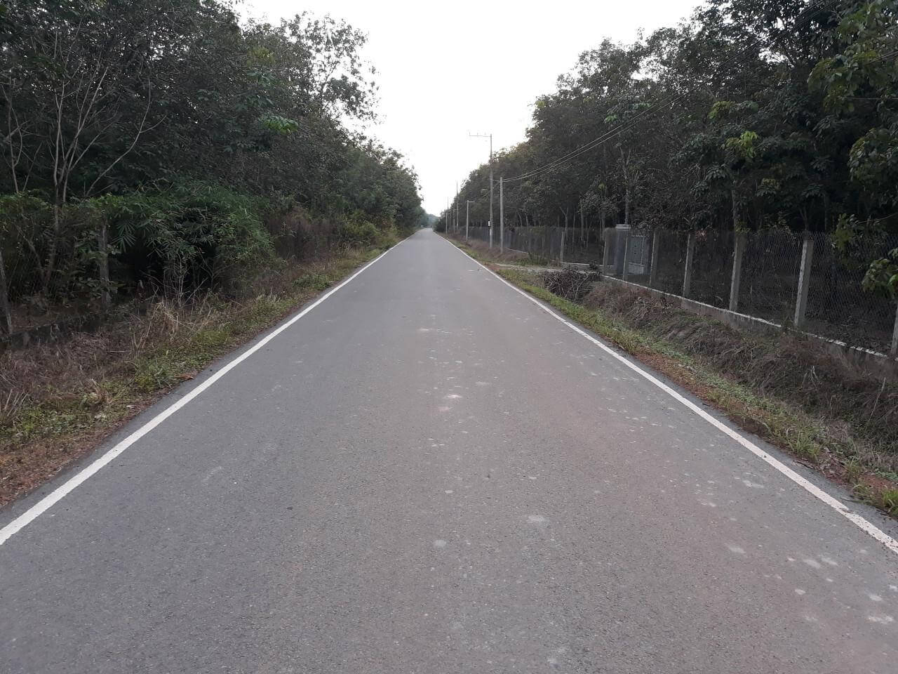 Khu vực bán đất cao su Bàu Bàng đáng chú ý năm 2019 4