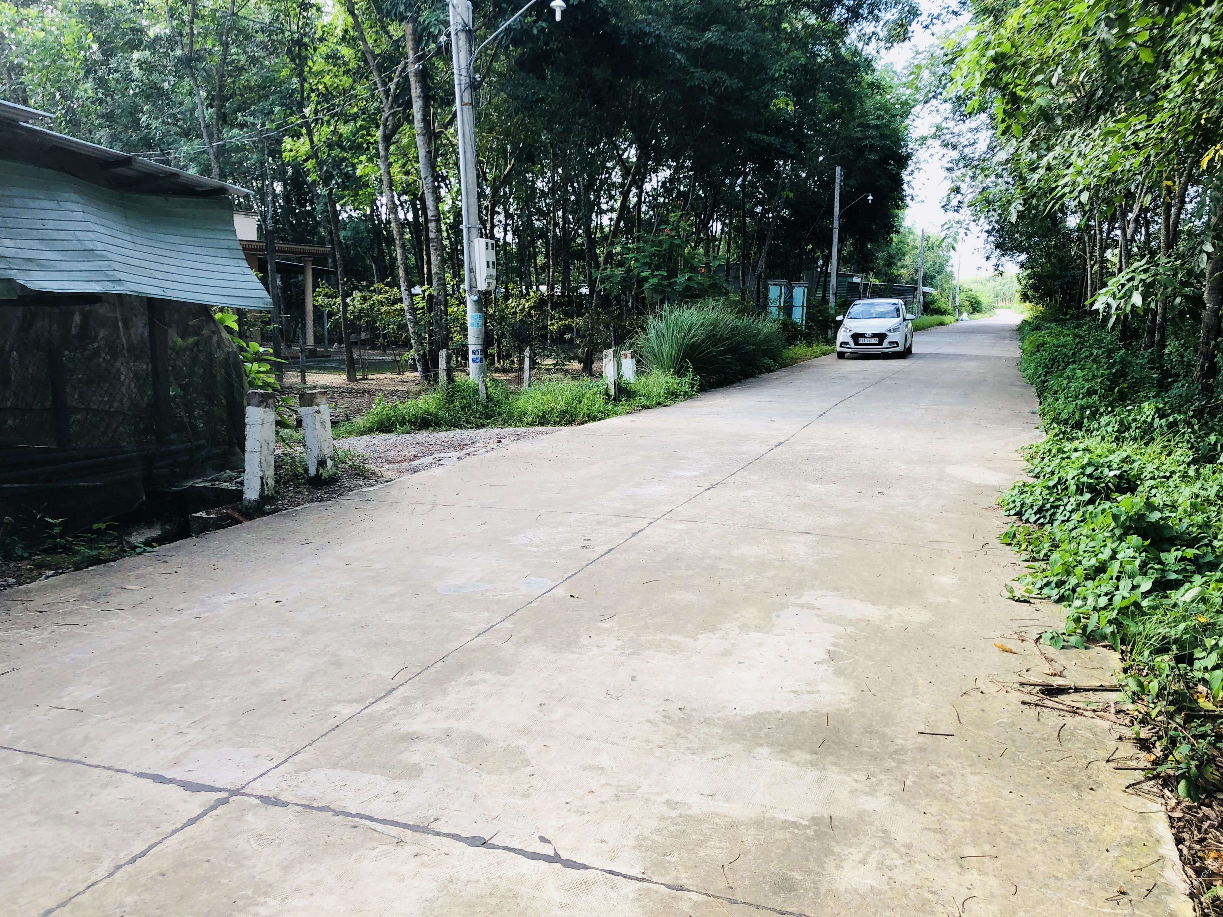 04 khu vực bán đất Lai Hưng, Bàu Bàng giá rẻ, tiềm năng 1