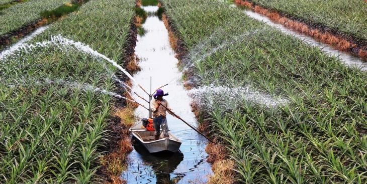 Quy hoạch phát triển kinh tế Bàu Bàng đến năm 2025