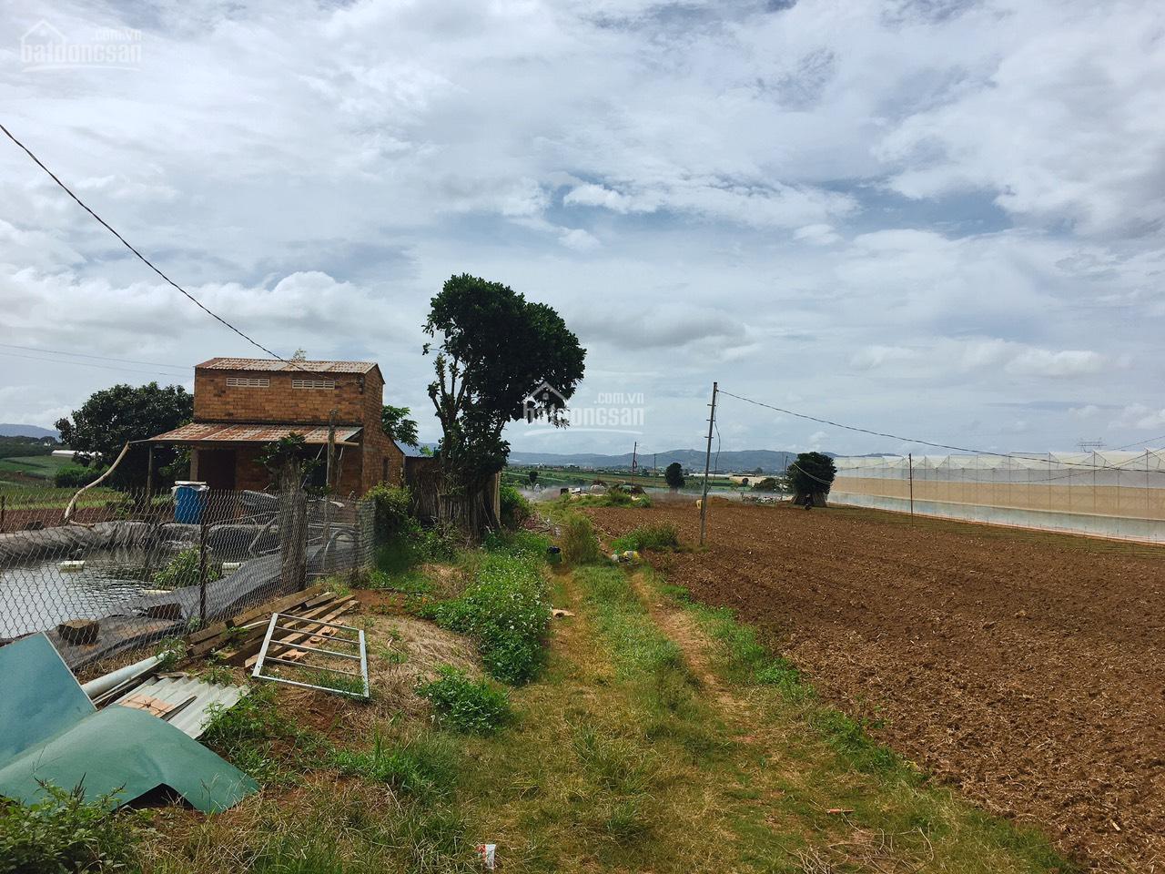 Bán đất Hiệp An Đức Trọng - 2