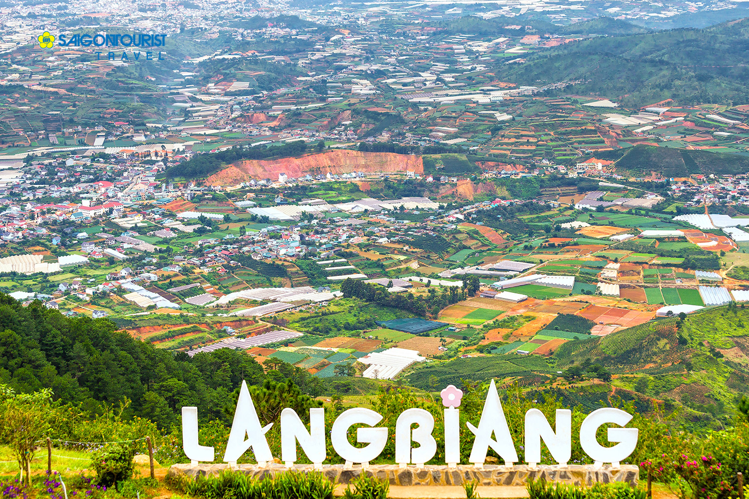 Nhà đất Đà Lạt - 2