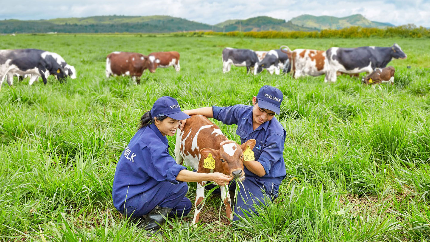 Bán đất trang trại Đà Lạt - 1