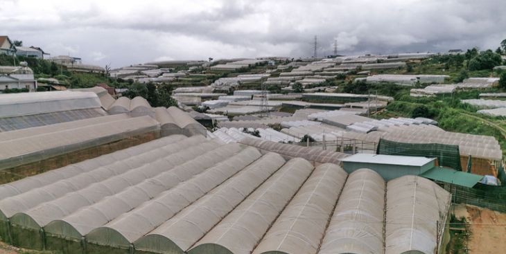 Bán đất vườn Đà Lạt giá rẻ năm 2022