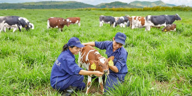 Danh sách bán đất trang trại Đà Lạt 2022 và những điều cần lưu ý