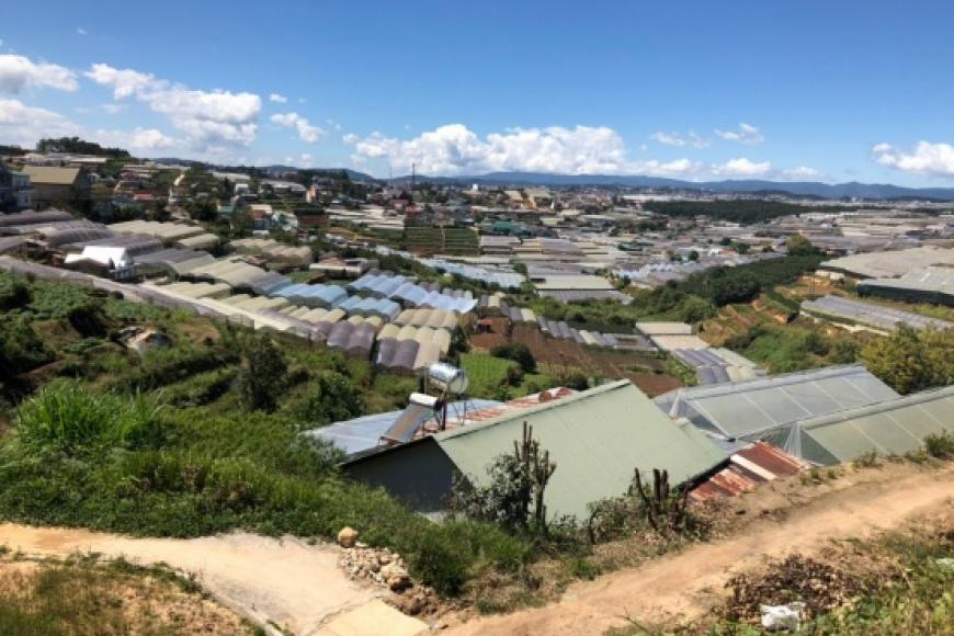 Bán đất nông nghiệp Đà Lat - 2