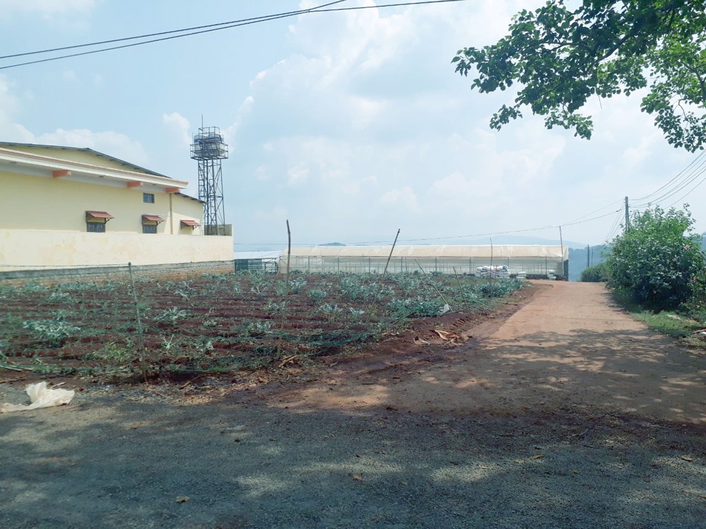 Bán đất xã Xuân Thọ Đà Lạt - 3