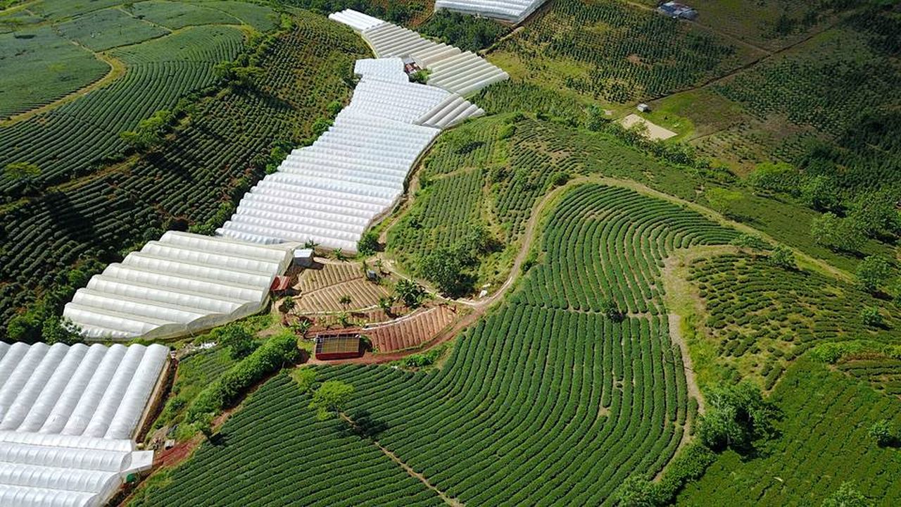Bán đất Cầu Đất Đà Lạt - 1