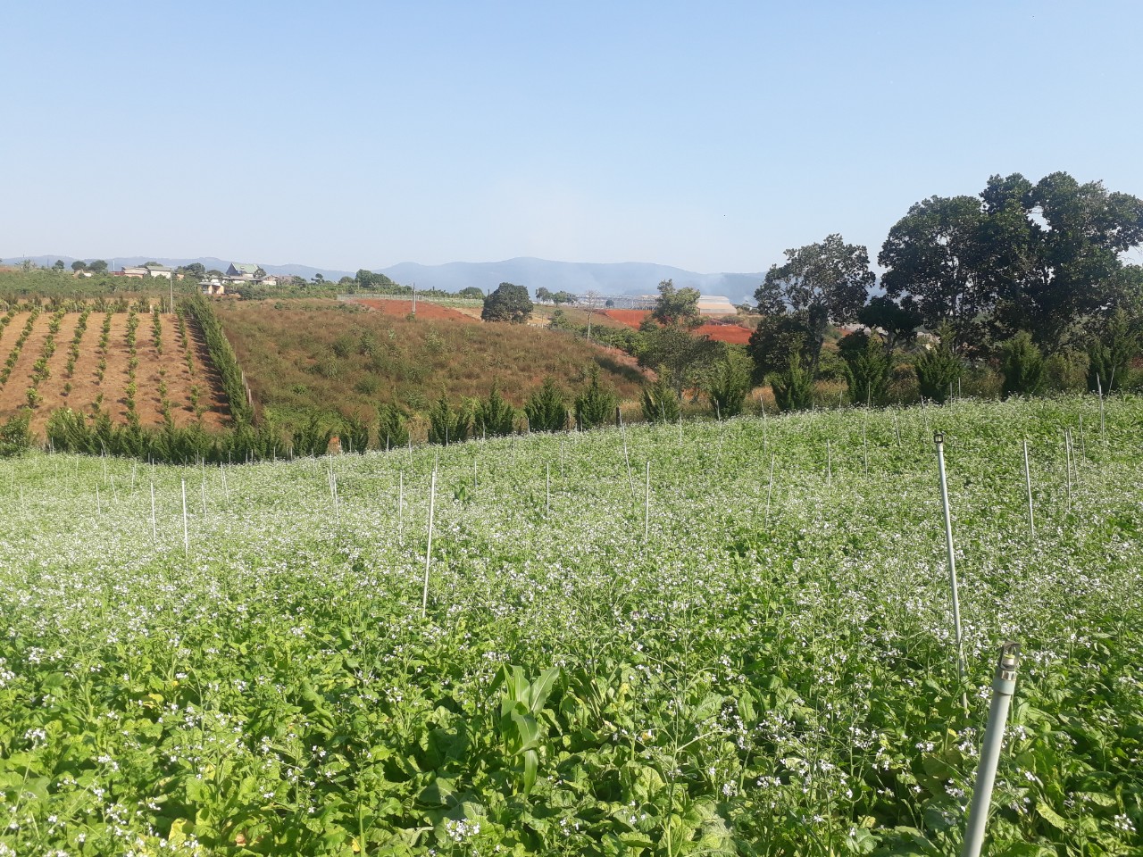 Bán đất Tà Nung - 2