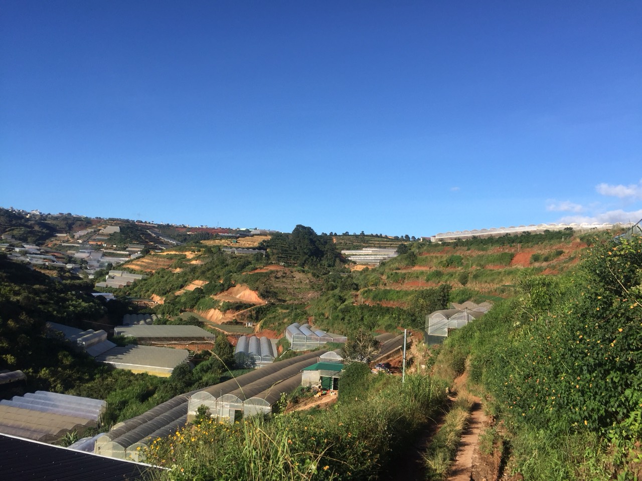 Bán đất Tà Nung - 1