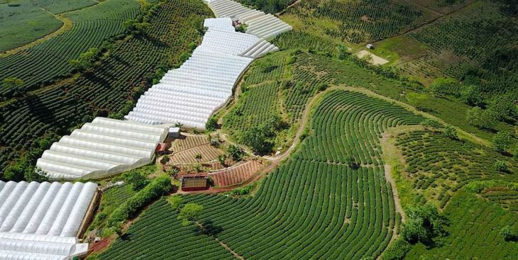 Bán đất Cầu Đất Đà Lạt, giá liên tục tăng cao